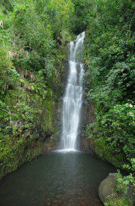 Waterfall in Haleakala National Park Hawaii USA