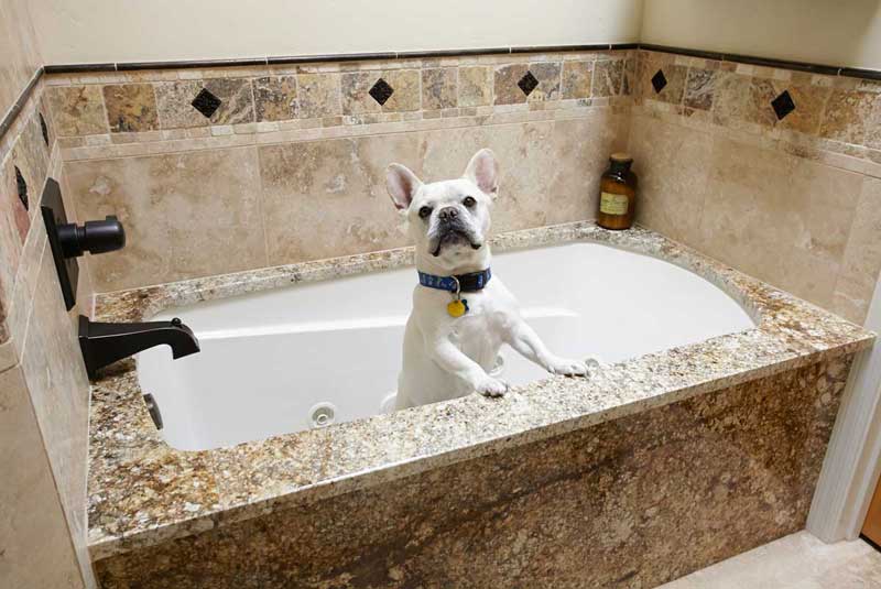 A white dog sitting in the bathtub looking at the camera.