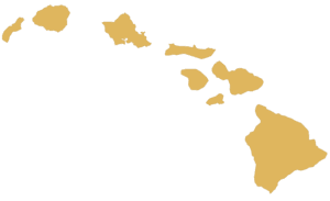 A map of hawaii with the island in the center.